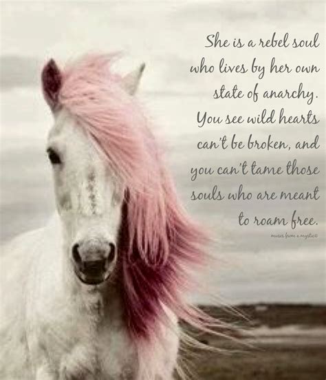 inspirational horse quotes